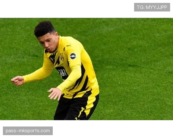 托比亚斯助巴西青年队夺冠,新星闪耀引关注 托比亚斯助巴西青年队夺冠,新星闪耀引关注