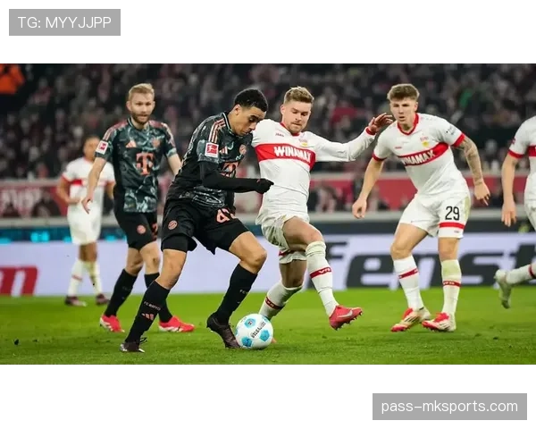 德甲斯图加特引援